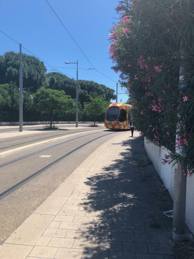 Appartement Mimosa, Tram 2, Parking Montpellier Exteriör bild
